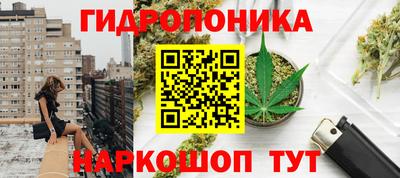 бошки Малгобек
