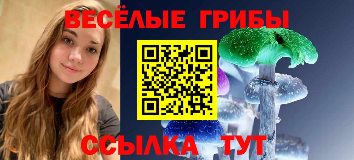 Псилоцибиновые грибы прущие грибы Тулун